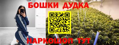 индика Моздок