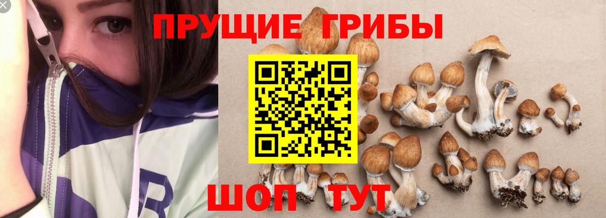 Псилоцибиновые грибы ЛСД Сургут